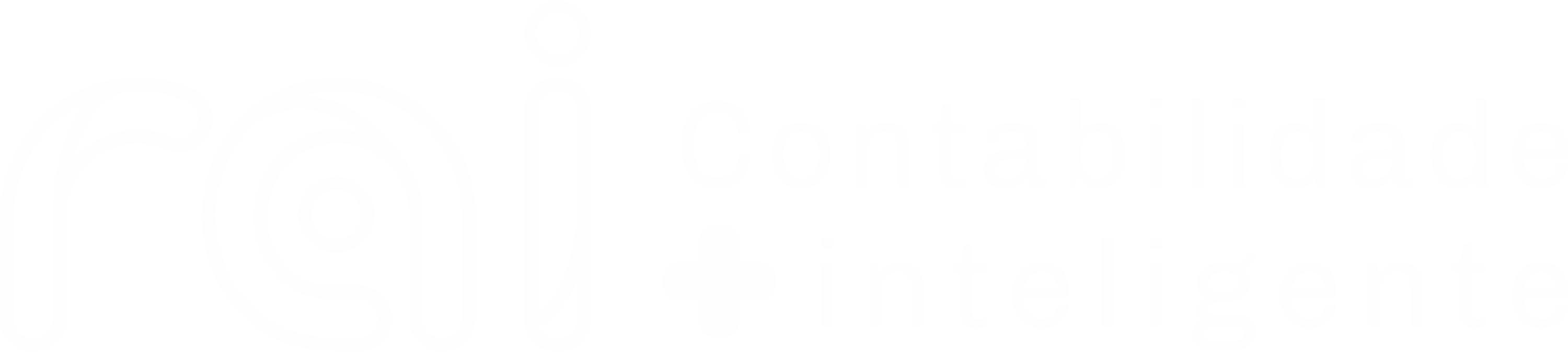 Rai Contabilidade Inteligente